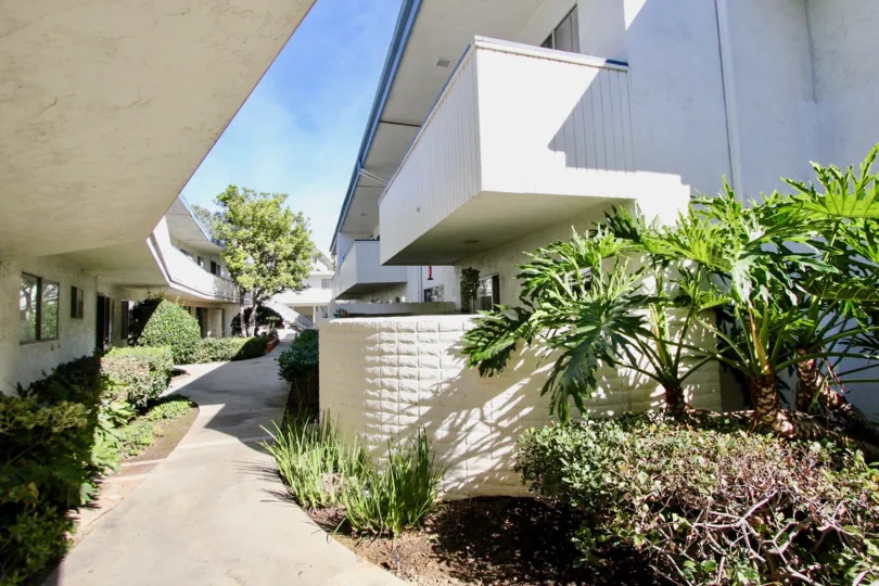 : Bayview Terrace ,Clairemont Mesa,California,blue sky, pathway