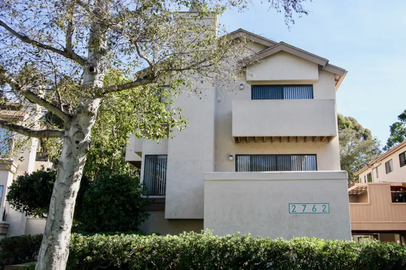 Canyon Rim , Clairemont Mesa , California,white building,tree, bushes