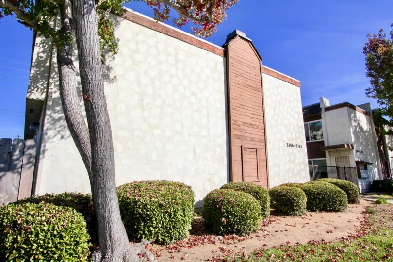 THE 5356-5362 APARTMENTS IN THE CLAIREMONT MESA TOWNHOMES, WITH THE TREES, PLANTS, GRASS