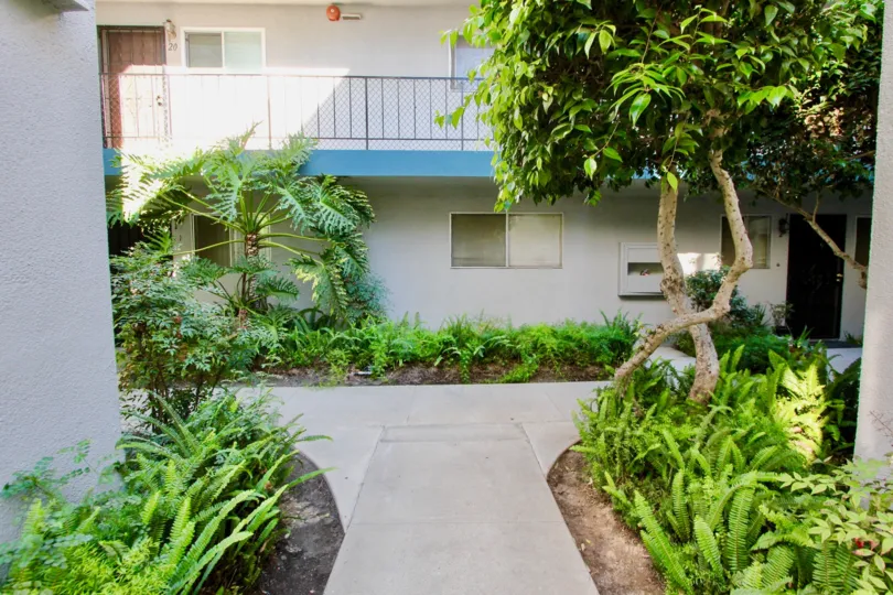 Cole Manor  ,: Clairemont Mesa  , California,, trees ,black hand rail