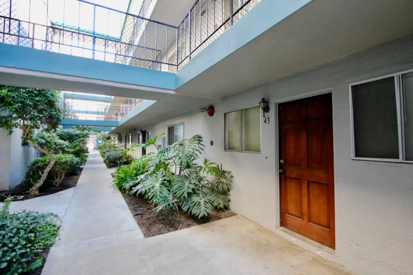 A pathway leads along a courtyard with plants either side of path and Cole Manor apartment doors.