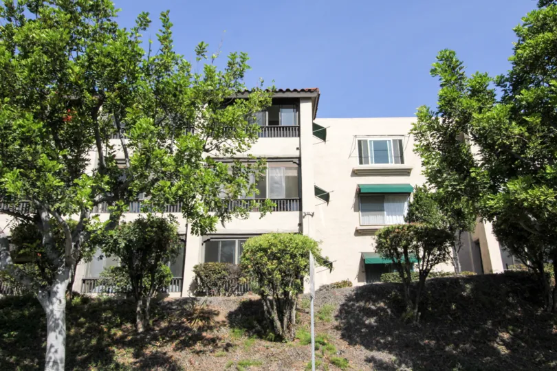 Costa Viva  ,Clairemont Mesa , California, blue sky, trees