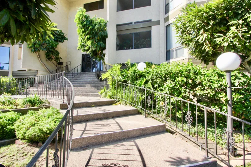 Really beautiful stairway path to doors in Mission Bay Ridge, with palm trees by door