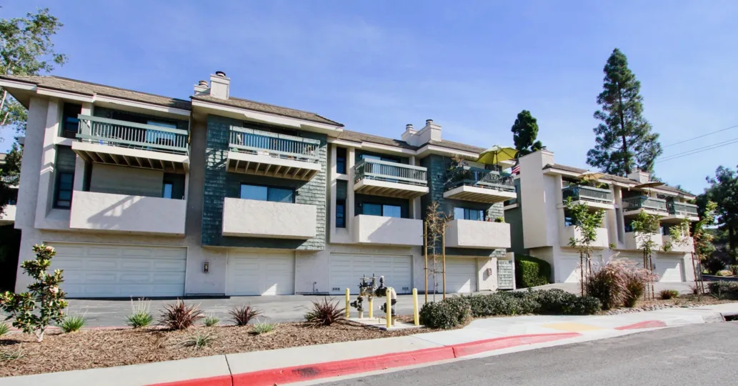 Pacific Racquet Club , Clairemont Mesa  ,: California,blue sky,conical tree