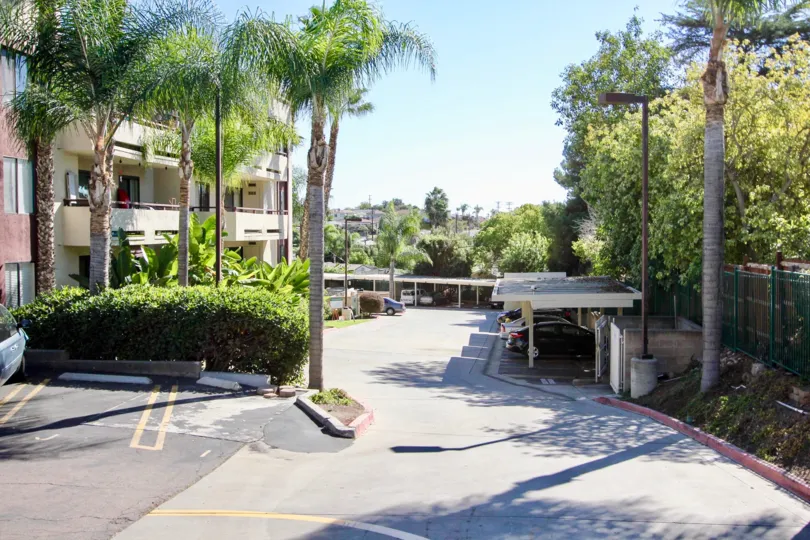 Aspens in College Area California is surrounded by beautiful palm trees you can see when you got out on your balcony