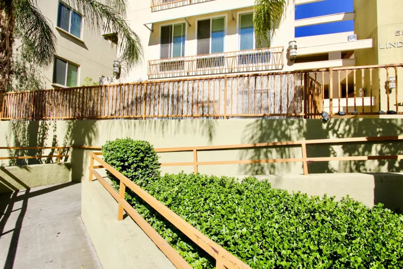 A sunny day in the Campus Walk with residential apartment and trees.