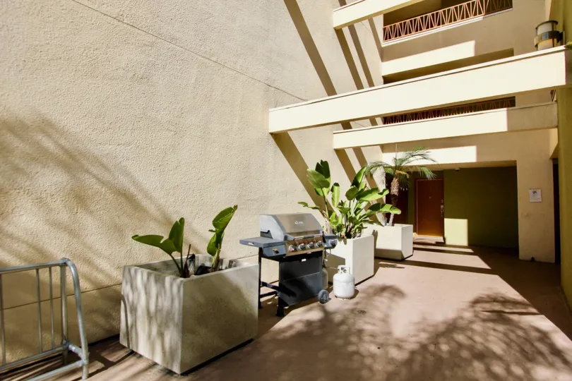 Campus Walk  ,College Area , California,brown building,potted plants