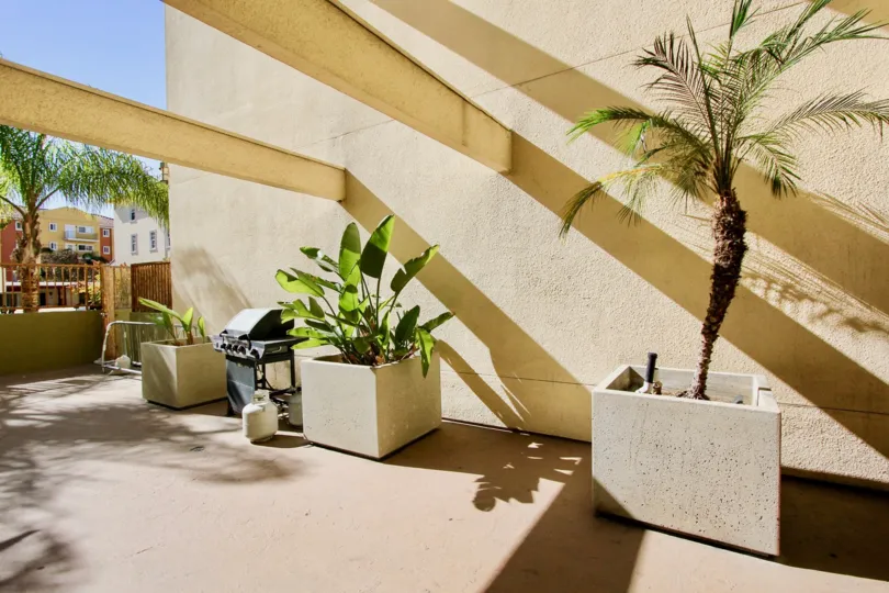 The patio area, including plants and a grill, at Campus Walk in College Area, Californa.