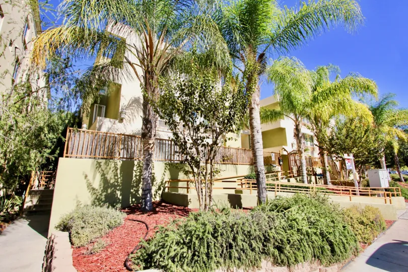 College dorms with a tropical feel with palm trees and outdoor loving