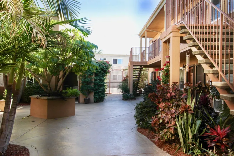 Casa Del Sol  ,: College Area  , Californiaplants, blue sky