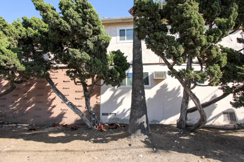 Beautiful College Gardens College Area California