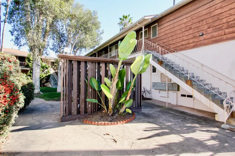 College Gardens  ,: College Area , California  ,steps,plantain tree