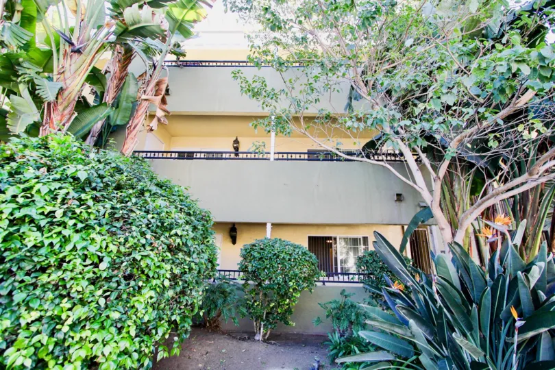 Three story residential building surrounded by trees and plants at Collwood Point in College Area California