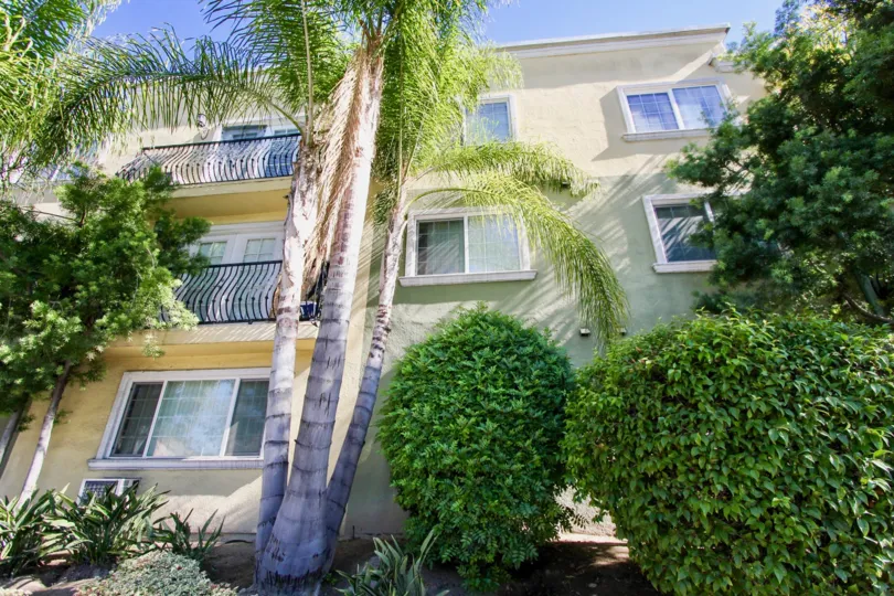 Three story residential building surrounded by greenery at Collwood Point in College Area California