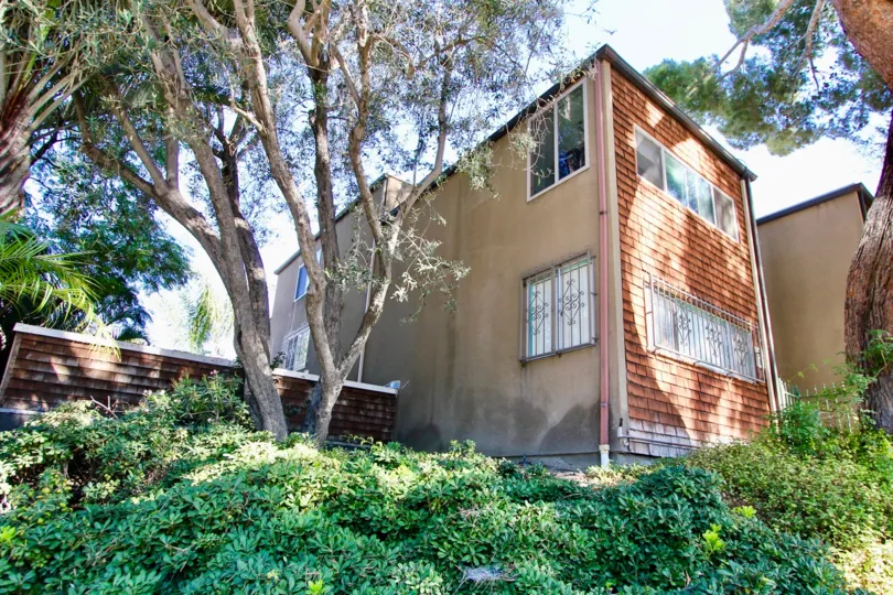 Collwood Townhomes, College Area,California. plants, weeds,shadow