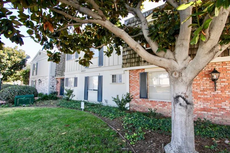 Colonial House  ,College Area ,California,tree bark, lawn