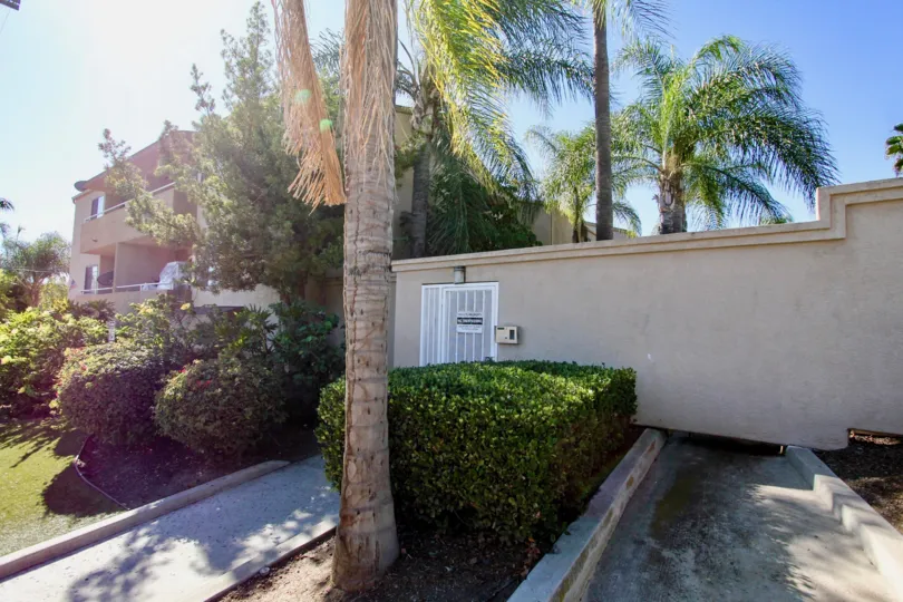 Glenridge ,College Area  , California,trimmed bushes,trees