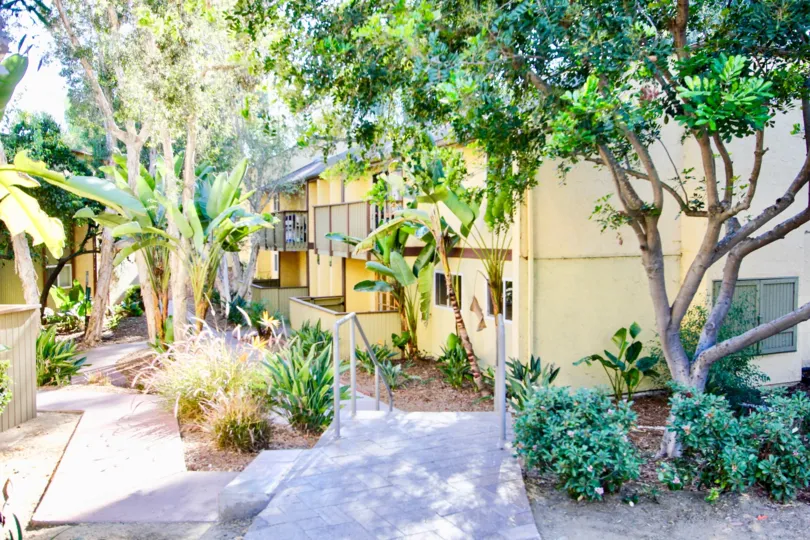 Lake Park Villas  ,: College Area  ,California, trees, sunlight
