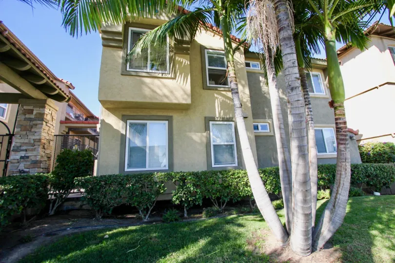 Palm trees below a tall housing structure at Menlo Village in College Area California