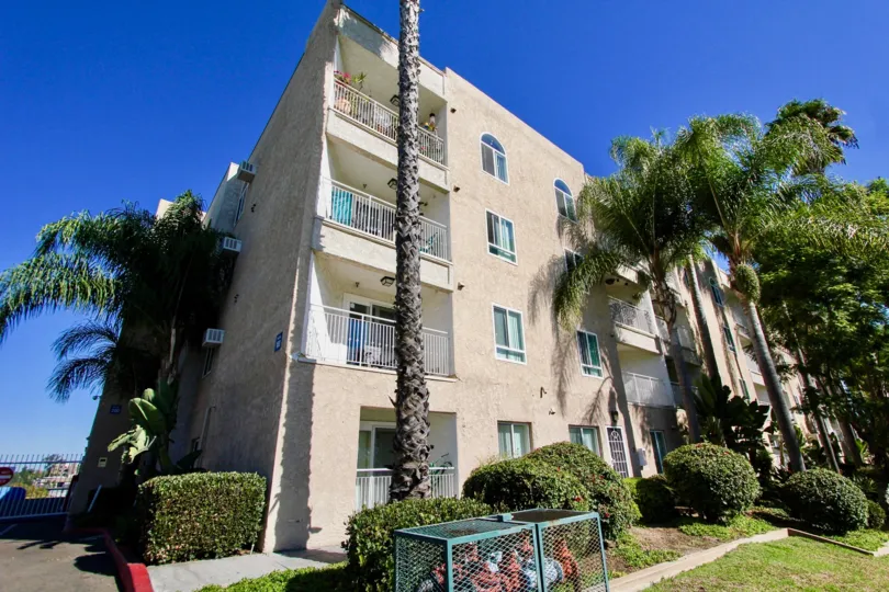 : Parkridge  ,: College Area, California,trimmed bushes, blue sky