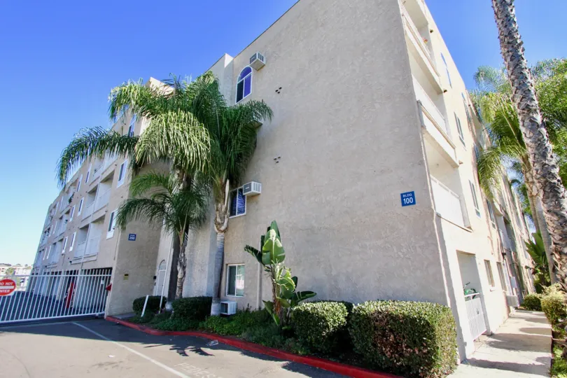 Parkridge  , College Area  ,California ,tree, off white building