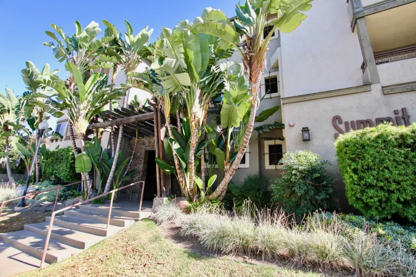 Stairway surrounded by palm trees in front of a residential building at Summit Place in College Area California