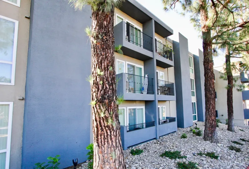 Three story residential building next to pine trees at Tuscany Place in College Area California