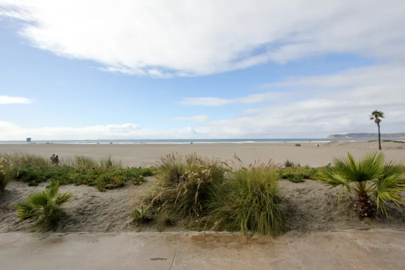 Grass on Beach at Beach Village at the Del, Coronado, California