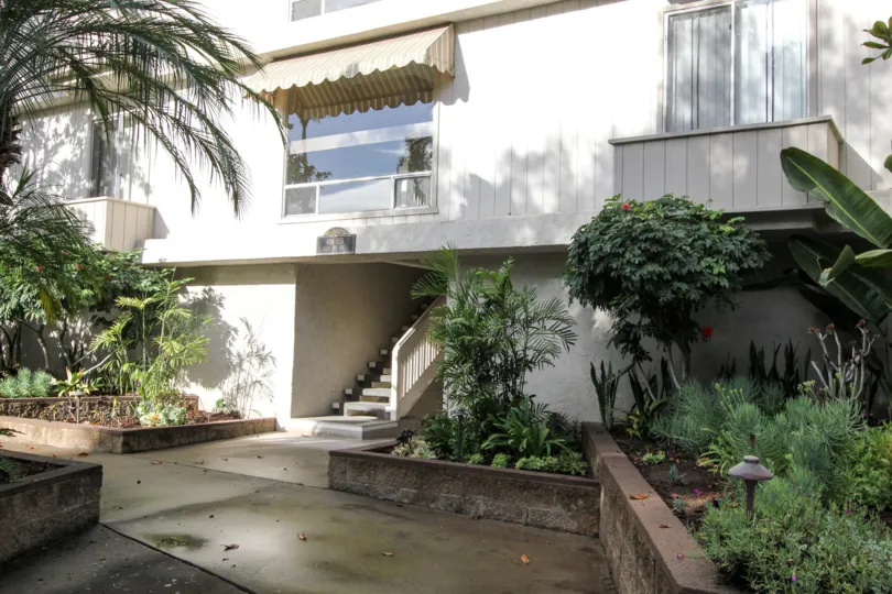 A very sunny day in the area of Casa Del Sol palm trees, windows and stairs