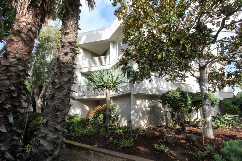 A BEAUTIFUL BIG VILLA AND A NICE TRESS AND IT LOOK LIKE A HUGE ONE FOR SO MANY PERSONS