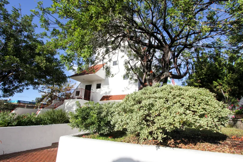 A BEAUTIFUL BIG VILLA AND A NICE TRESS AND IT LOOK LIKE A HUGE ONE FOR SO MANY PERSONS