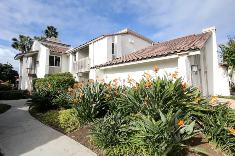 Beautiful and amazing house in Kingston Court in california