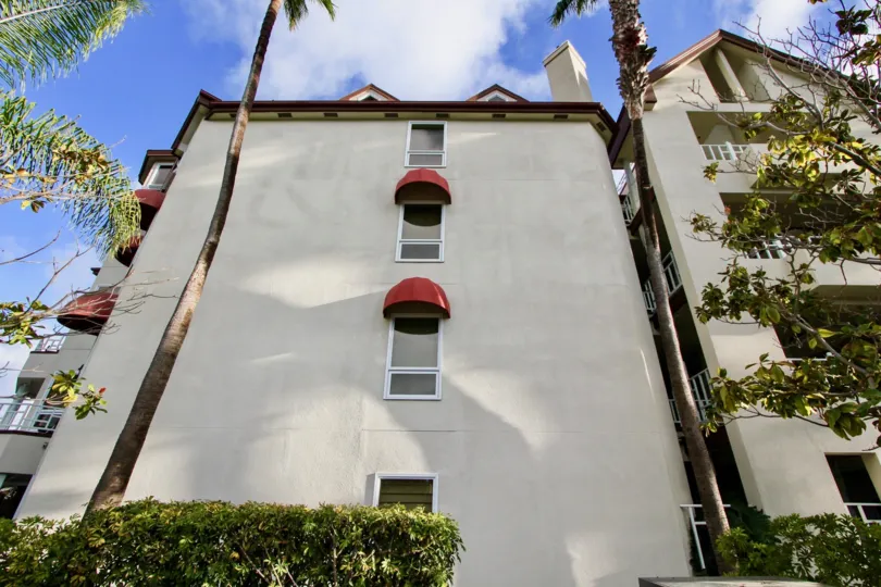 Upward angled view of the trees and shaded windows of the Landing in Coronado, California.