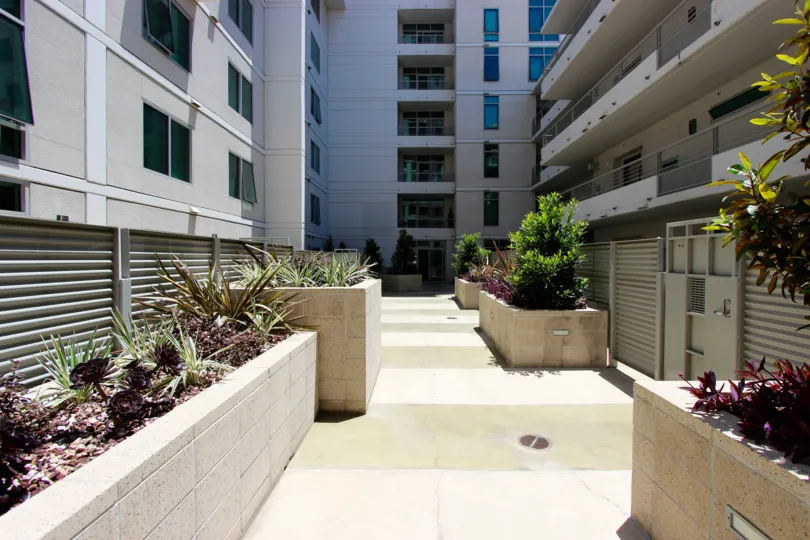 a View of of the Acqua Vista Apartment Complex in a bright sunny day