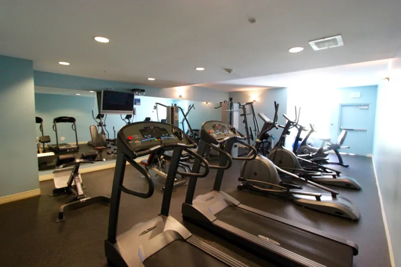 A work out gym complete with multiple types of Aerobics machines and a TV.