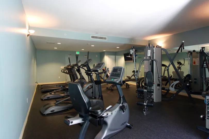 The fitness room with weights and cardio equipment at Alicante.