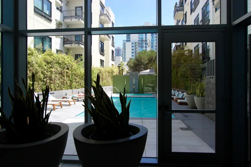 A view from inside of lounge chairs around a pool on a sunny day.