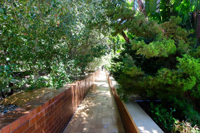 Lush green walkway at Cityfront Terrace in Downtown San Diego, CA