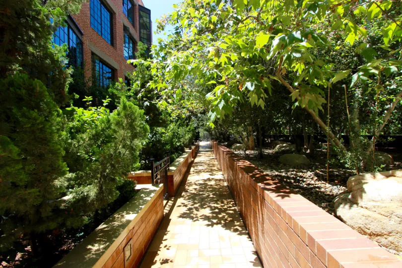 Shady walking path at Cityfront Terrace community in Downtown San Diego, California.