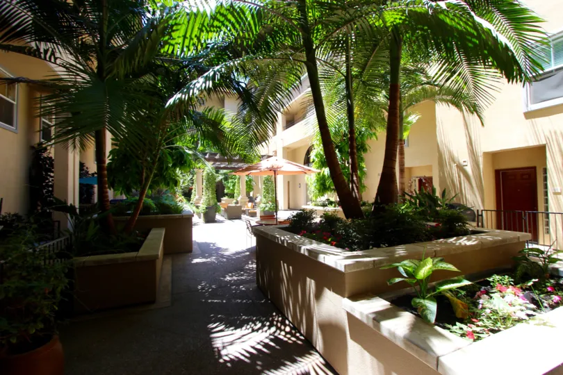 Beautiful palm tree landscaping offers shade in the courtyard of Citywalk.