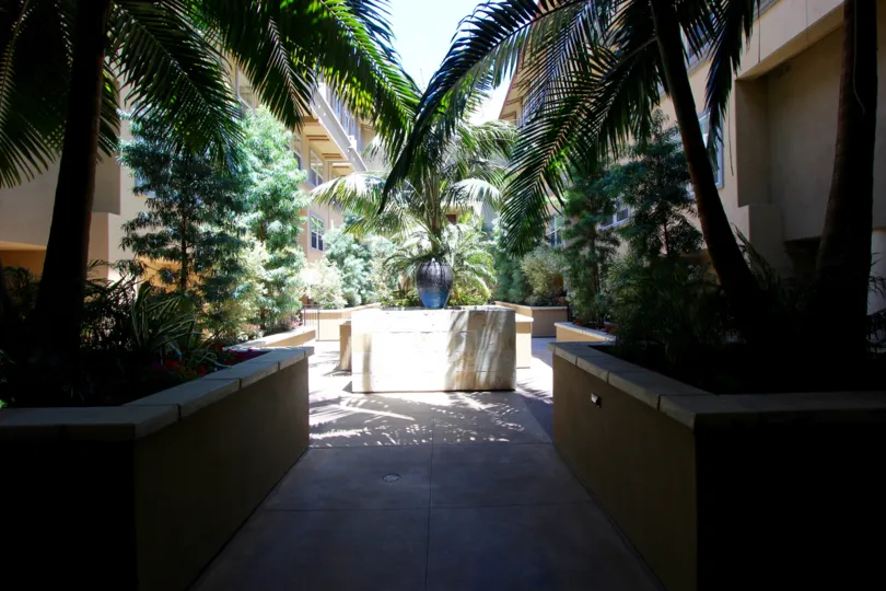 A radiant and sunny morning at the Citywalk with a view of its tropical forest-like interiors with exceptional trees and plants and peaceful shady areas