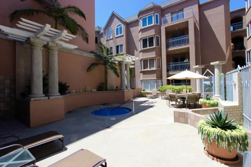 A large plant in a terra cotta pot sits on a sunny patio.
