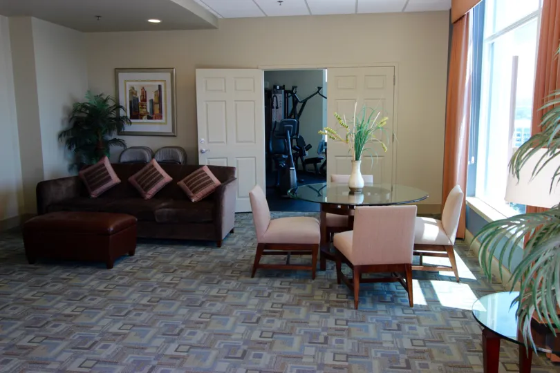 A SUNNY DAY IN THE DIAMOND TERRACE WITH VISITOR'S HALL AND SOME FURNITURE, PLANTS