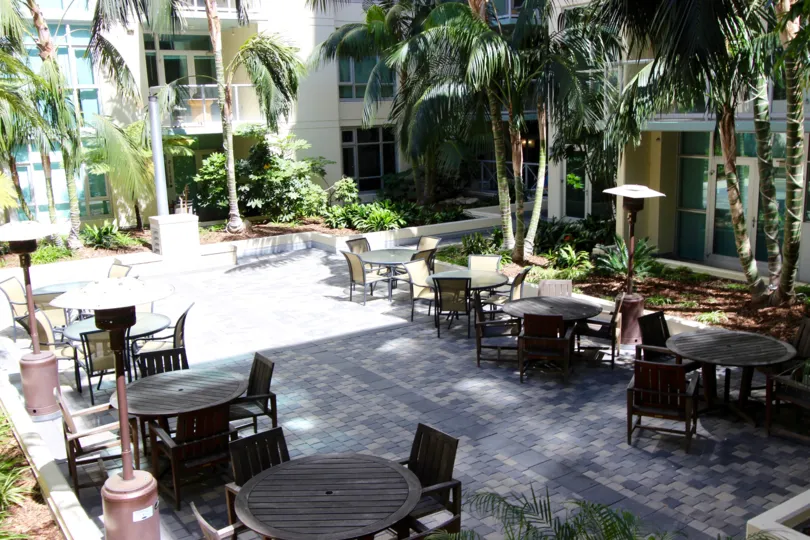 Outside dining area next to palm trees & plants at Discovery in Downtown San Diego CA