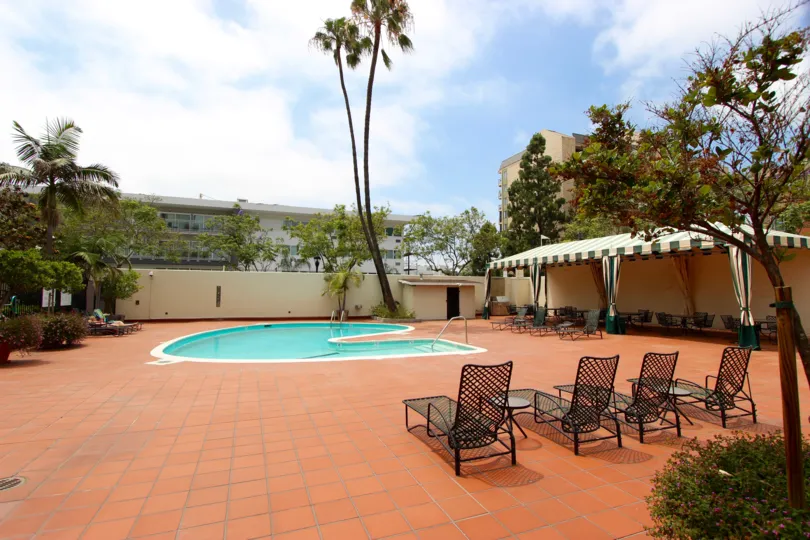 Awesome view of trees and chairs near pool in El Cortez