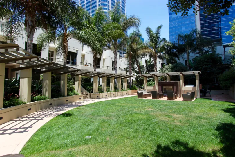 Palm trees line the walkway around the green space at Electra.