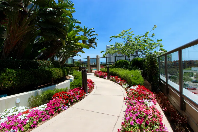A sidewalk with flowers in Electra Downtown San Diego CA.