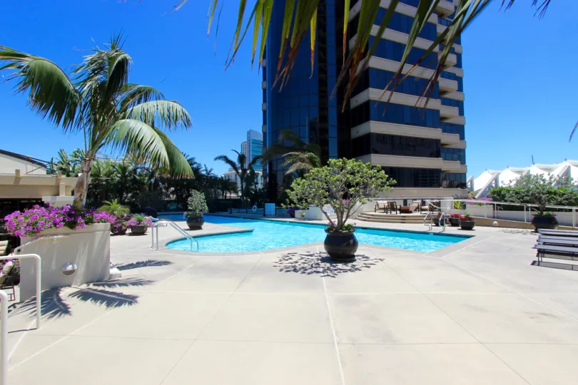 Pam trees ant potted plants sit on the patio at Harbor Club condos