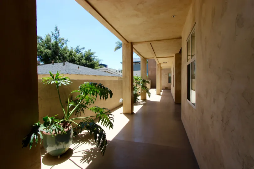 THE CORRIDOR IN THE Hawthorn Place WITH THE PLANT, GLASS WINDOW