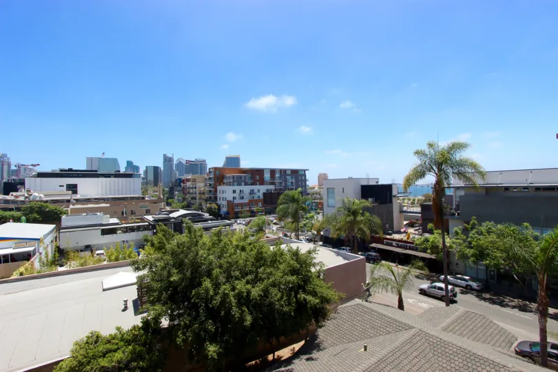 A sunny day in Hawthorn Place with some trees and road